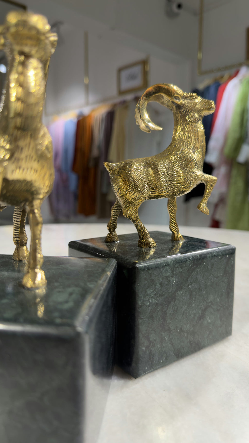 The 'Oasis' Golden Ibex Bookends