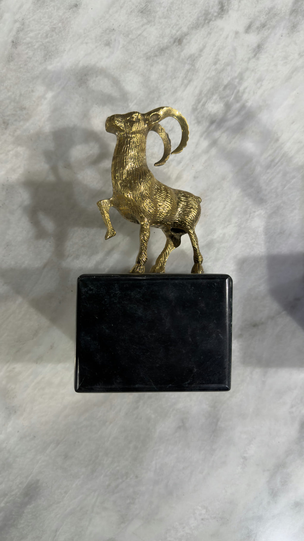 The 'Oasis' Golden Ibex Bookends